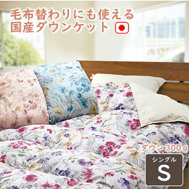 お布団屋さん直送 ダウンケット シングル 国産 掛け布団 日本製 0.3kg 越後ふとん 春夏の眠り ふんわり軽い