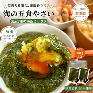 お一人様1回限り お試し 国産 海藻 ねばねば ミックス 100g×2袋 海の五食やさい 冷凍 無添加 食品 海藻…