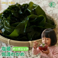 【オーガニック】塩蔵佐渡わかめ 100g4袋入 塩わかめ 塩蔵わかめ 無添加わかめ 国産わかめ wakame ワカメ…