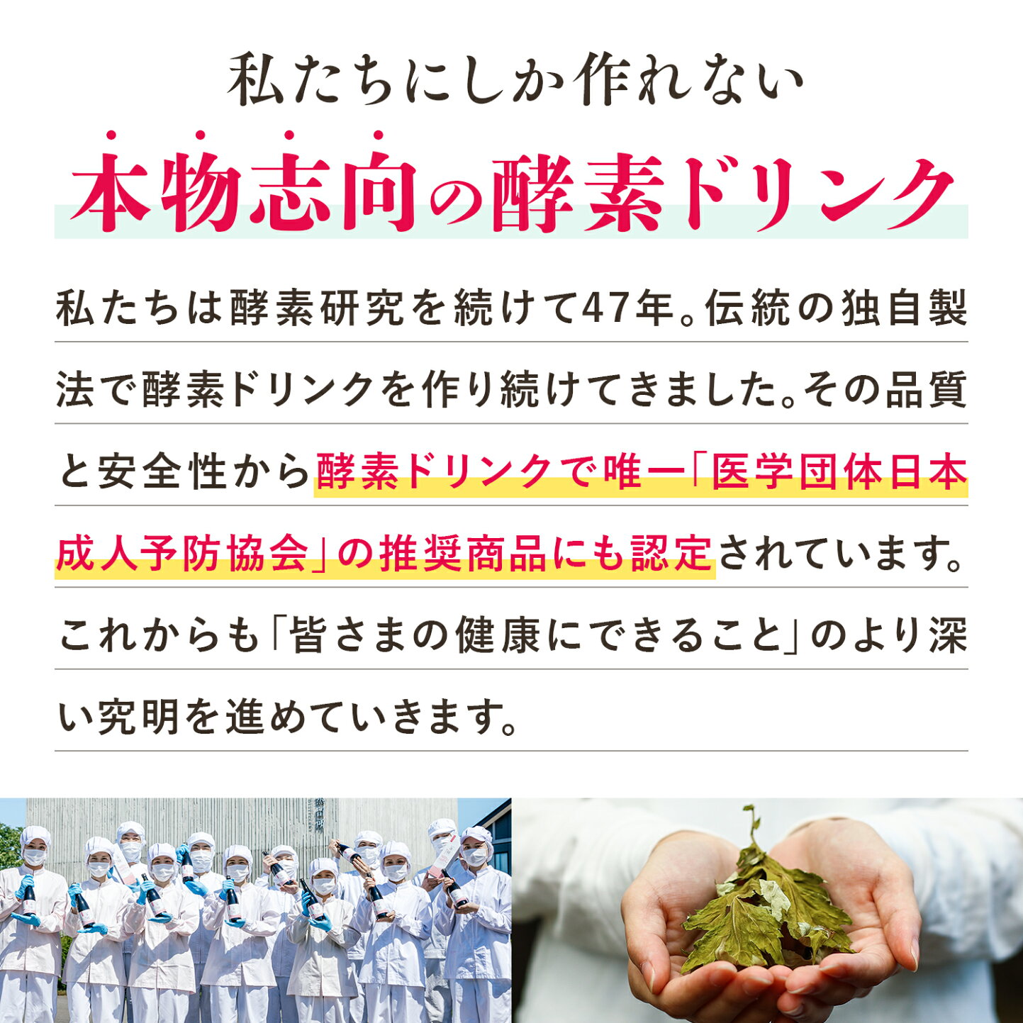 楽天市場 | 越後酵素蓬緑 - 越後薬草はよもぎを使った酵素、健康食品の 