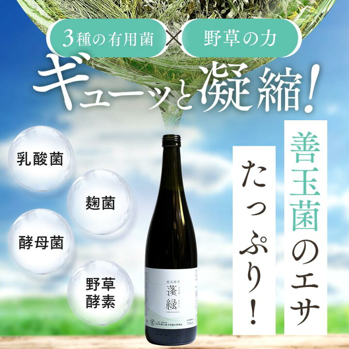 楽天市場】越後酵素蓬緑 ファスティングドリンク 酵素ドリンク 無添加 