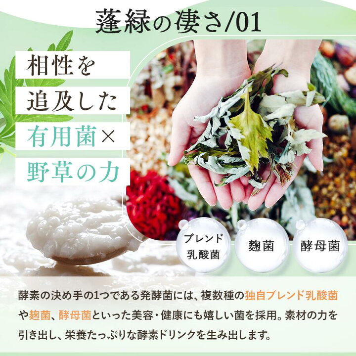 楽天市場】【公式】越後酵素蓬緑 酵素ドリンク 無添加 ファスティング 