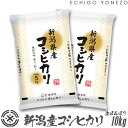 【新潟米 令和6年産】金ぼんぼり 新潟産コシヒカリ 10kg (5kg×2袋) こしひかり 送料無料 gift kome niigata koshihikari EDLP