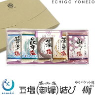 【越後塩 えん】笹川流れの塩 五塩（御縁）結び 単品 200g (40g×5)(1～3本選択) 塩 天然の粗塩 藻塩 昆…