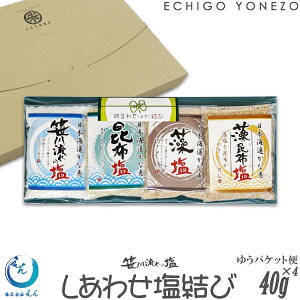 yz㉖ z여̉ l킹 Pi 160 g (40g×4)(1`4{I)  VȒe  z z  Y 葢 VRf I[KjbN salt niigata sea salt ocean water made in japan