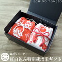 【新潟米 令和6年産】越州 紅白包み 特別栽培米 ギフトセット 4kg (2kg x 2) 隠れ蓑 宝尽くし てぬぐい 魚沼 こしひかり 松の葉 紅白 内祝 挨拶 御礼 gift kome niigata