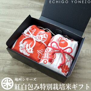 yV ߘa6NYzzB g ʍ͔| MtgZbg 4kg (2kg x 2) Bꖪ s Ăʂ  Ђ ̗t g j A  gift kome niigata