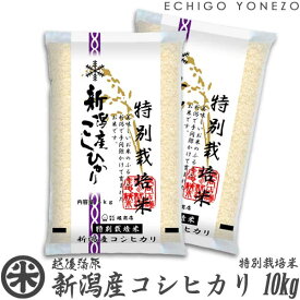 【新潟米 令和5年産】新潟産コシヒカリ 特別栽培米 白米 10kg (5kg×2袋) 契約栽培 こしひかり ギフト 米 おもたせ 贈答品 内祝い 新潟 こしひかり gift こめ コメ gift kome niigata koshihikari edlp