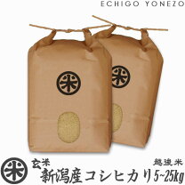 楽天市場】玄米 20kg コシヒカリ 新潟の通販