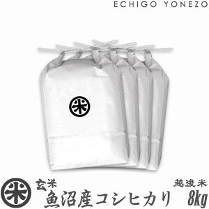 【新米 令和7年産】魚沼産コシヒカリ 玄米 新潟大銘米 2kg 4kg 6kg 8kg 厳選新潟米 魚沼 こしひかり 送料無料 贈答 内祝 御祝 御中元 御歳暮 gift kome grain brown rice uonuma koshihikari