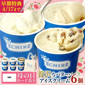 ＼母の日早期特典スプーンプレゼント／【エシレ公式】アイスクリーム ギフトセット 6個入り 保冷バッグ付き（ECHIRE エシレグラス EG-6) エシレ発酵バター使用 プレゼント スイーツ 母の日 最強翌日配送