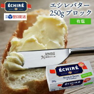 即日配送可 エシレバター 250g ブロック ( 有塩 ×1 ) エシレ echire 公式 バター 冷蔵 高級 贅沢 高級バ…