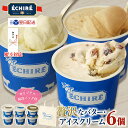 【全品P2倍★マラソン限定】当店限定【 エシレ 公式 】 アイスクリーム エシレグラスギフトセット 6個入り 保冷バッグ付 ギフト プレゼント 最強翌日配送 ECHIRE 高級 アイス セット 贅沢 濃厚 プレゼント バター メッセージカード お中元