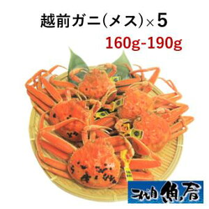 zOKjiXjI 160g`190g × 5ty@zOI@YCKj@Ɂ@z