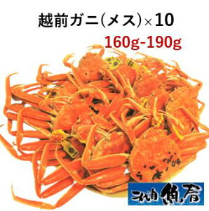 zOKjiXjI 160g`190g × 10ty@zOI@YCKj@Ɂ@z