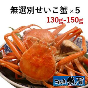 IʂI130g`150g × 5ty@zOKj@Ɂ@z