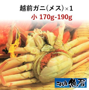 zOKjiXjI@170g`190gy@zOI@Ɂ@z