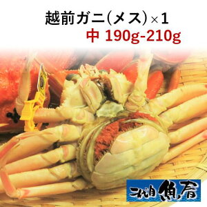 zOKjiXjI@190g`210gy@zOI@Ɂ@z