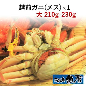 zOKjiXjI@210g`230gy@zOI@Ɂ@z