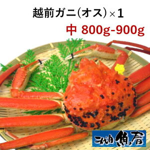 zOKjiIXj@800g`900gy@YCKj@I@z