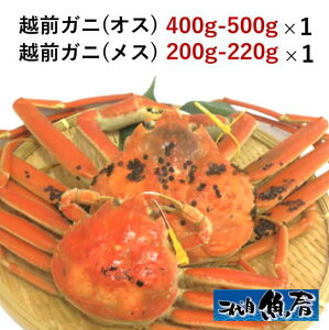 zOKjiIXj400g`500g×1tzOKjiXj200g`220g×1ty@zOI@킢Ɂ@Ɂ@z