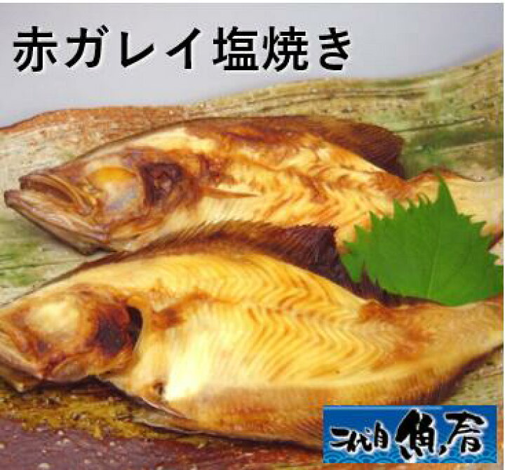 楽天市場 赤ガレイの塩焼き ２尾 カレイ 天神講 二代目 魚春