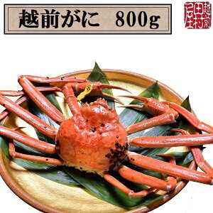 y①ց@ɏiȊO̓sz䌧Y ŉzO 800g`899g@zOc(ɐ|1EJjXv[1{t)