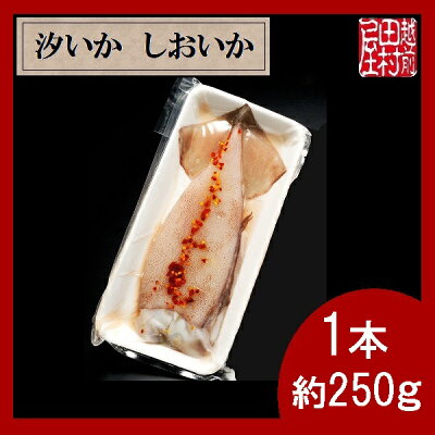 商品汐いか-2