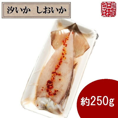 商品汐いか-3