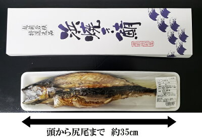 【冷蔵便】浜焼きさば(長さ約35cm)越前田村屋