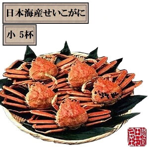 y①ց@ɏiȊO̓sz{CYł 140`170g 5tZbg zOc