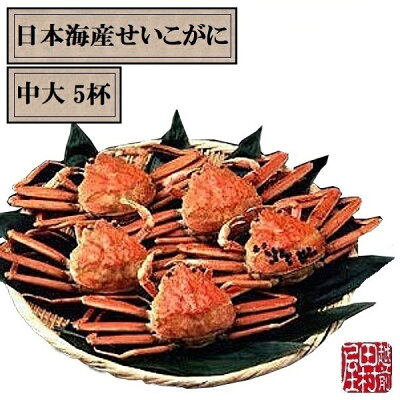 商品日本海せいこがに中大×5-2