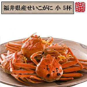 y①ց@ɏiȊO͓sz䌧Ył 140`170g 5tZbg@zOc