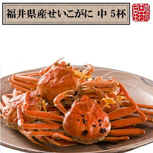 y①ց@ɏiȊO̓sz䌧Ył 170`200g 5tZbg@zOc