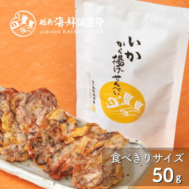 おもてなしセレクション受賞【いかから揚げせんべい（小袋）】｜いかせんべい 海鮮せんべい いかせん 人気 常温 海鮮煎餅 プチギフト プレゼント おつまみ お酒好き お父さん 越前海鮮倶楽部 福井 タキダエンタープライズ