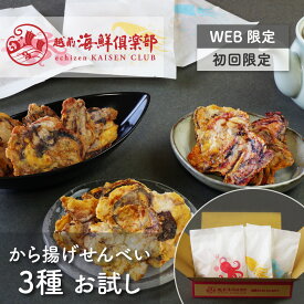 送料無料 海鮮煎餅詰め合わせ【から揚げせんべいお試しセット】｜海鮮せんべい たこせんべい タコせんべい たこせん お煎餅 イカせんべい いかせん 自宅用 晩酌 ちょい飲み 家飲み バラエティ おつまみ おやつ お取り寄せ 常温 乾き物 越前海鮮倶楽部 タキダエンタープライズ