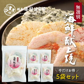 ＼455円OFF／期間限定【無選別・海鮮献上焼（おまとめ買い5袋セット）】｜お得 割れせん まとめ買い 甘くない 詰め合わせ 海鮮せんべい お煎餅 乾き物 人気 常温 自宅用 おやつ チャック付き おもたせ 手土産 プレゼント 越前海鮮倶楽部 福井 タキダエンタープライズ