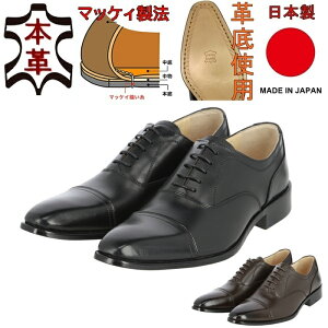 rWlXV[Y Ch hXV[Y L vC y tH[}C {vC Y v 3e YV[Y ʋ΃V[Y C dC rWlXC U[\[ }bPB@ amC {v v