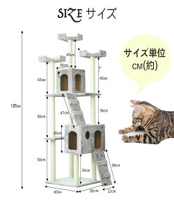 Lbg^[ u X[v LnEX 2xbh nbN ߁(183cm) ׂ j