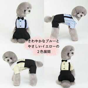  hbOEFA lN^C̃gbhȃtH[}EFA FWJ2F Xibv{^ŒE₷pcƃXJ[g2^Cv