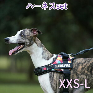 tn[lX h~ Ȃ ȒP ^ ^ U o AEghA qh~ Ԕ ʋC iC }WbNe[v nht