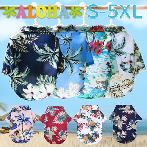 AnVc nCA ][gEFA ċx s RXv ^ ^ yAbN ̕  L̕ L LbgEFA m ybgpi ^ gbvX t ݕt gs