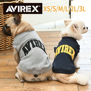 AVIREXiABbNXjfC[N[lbNXEFbgS