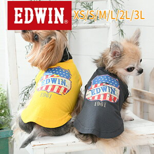 2024t EDWINi GhEBjUSAre[WTCbV^N