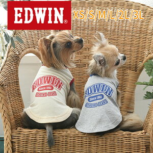 2024t EDWINi GhEBjJbWSK[^N
