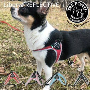 TRE PONTI g|eB x^ tNeBu LTP100 C^A R[hbN TCY  ^ L