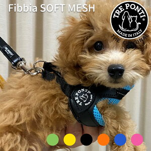 TRE PONTI g|eB tBbrA \tgbV LTP113 C^A VvŃX^CbV n[lXTCY  ^ L ETM