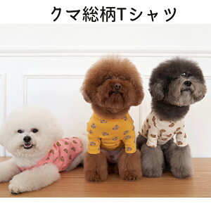   hbOEFA ybg t  H ~ I[V[Y ybg ` _bNX gCv[h  ybgpi tp ėp Hp ~p ybgObY іh~ ̕  