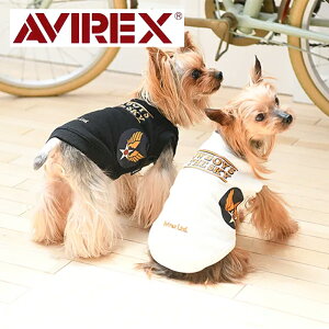 AVIREXiABbNXjN[XEFbgEJE{[CIuUXJC