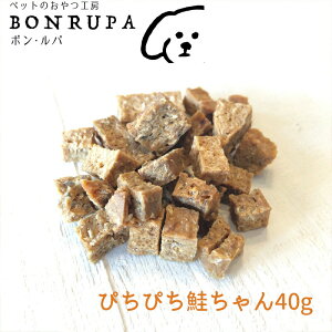 ҂҂40g {Ep@  Y Y ԐH W[L[ hbOt[h 